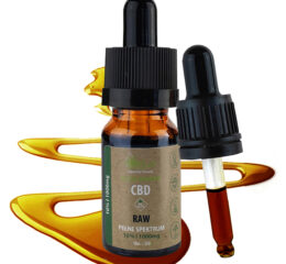 10% olejek KONOPNY CBD | THC CBC CBG CBN | RAW | FULL SPECTRUM