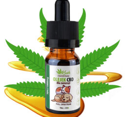 10% olejek KONOPNY CBD | dla Psa Kota | RAW FULL SPECTRUM