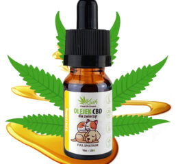 2,5% olejek KONOPNY CBD | dla Psa Kota | RAW FULL SPECTRUM