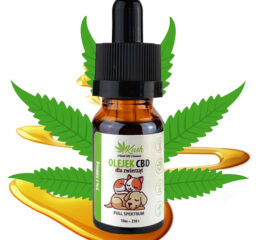 5% olejek KONOPNY CBD | dla Psa Kota | RAW FULL SPECTRUM