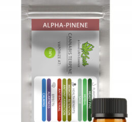 Naturalne terpeny konopne | MONOTERPEN  ALPHA-PINENE | 1ml