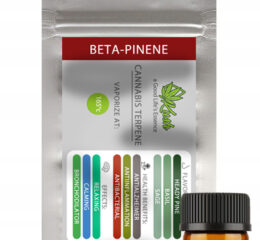 Naturalne terpeny konopne | MONOTERPEN  BETA-PINENE | 1ml