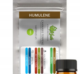 Naturalne terpeny konopne | MONOTERPEN HUMULENE | 1ml