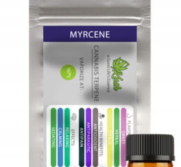 NNaturalne terpeny konopne | MONOTERPEN MYRCENE | 1ml