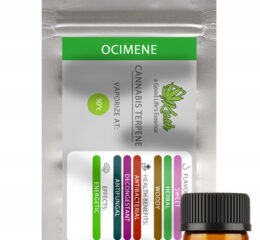 Naturalne terpeny konopne | MONOTERPEN OCIMENE | 1ml