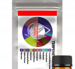 Naturalne terpeny konopne | PROFIL TERPENOWY | STRAWBERRY |