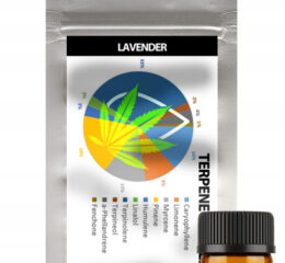 Naturalne terpeny konopne | PROFIL TERPENOWY | LAVENDER