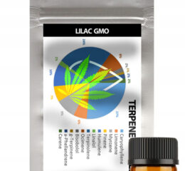 Naturalne terpeny konopne | PROFIL TERPENOWY | LILAC GMO