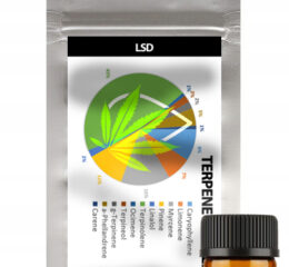 Naturalne terpeny konopne | PROFIL TERPENOWY | LSD