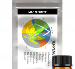 Naturalne terpeny konopne | PROFIL TERPENOWY | MAC N CHEESE