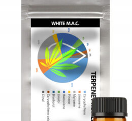 Naturalne terpeny konopne | PROFIL TERPENOWY | WHITE M.A.C.