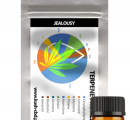 Naturalne terpeny konopne | PROFIL TERPENOWY | JEALOUSY