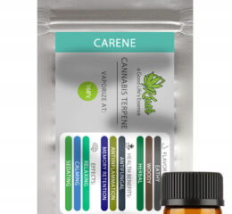 Naturalne terpeny konopne | MONOTERPEN CARENE | 1ml