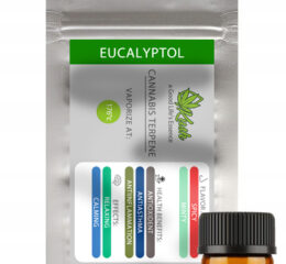Naturalne terpeny konopne | MONOTERPEN EUCALYPTOL | 1ml