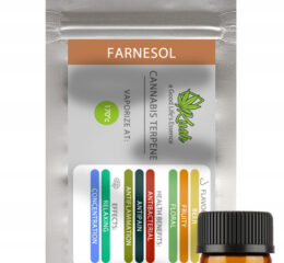 Naturalne terpeny konopne | MONOTERPEN FARNESOL | 1ml