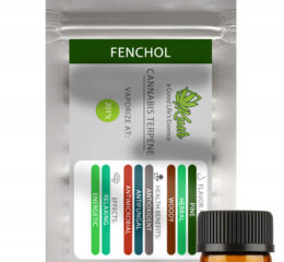 Naturalne terpeny konopne | MONOTERPEN FENCHOL | 1ml