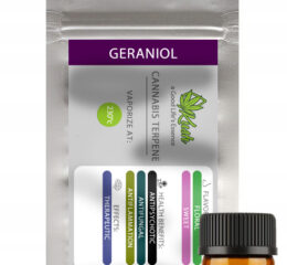 Naturalne terpeny konopne | MONOTERPEN GERANIOL | 1ml