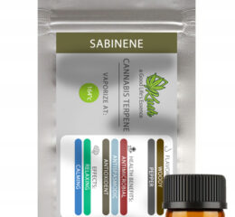 Naturalne terpeny konopne | MONOTERPEN SABINENE | 1ml
