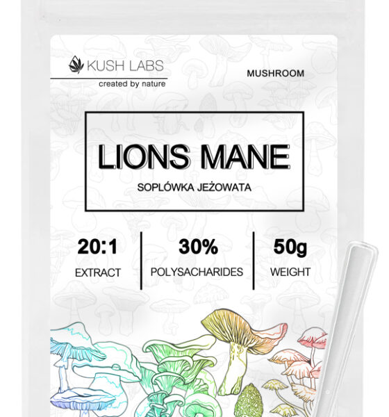 LIONS MANE - Soplówka Jeżowata | EKSTRAKT 20:1 | 50G
